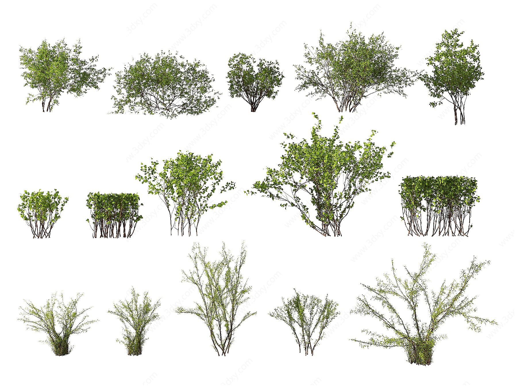 现代灌木草丛3D模型