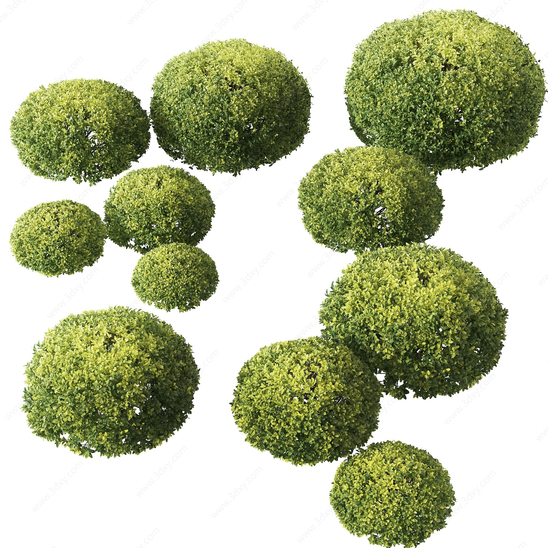 现代球形灌木绿篱3D模型