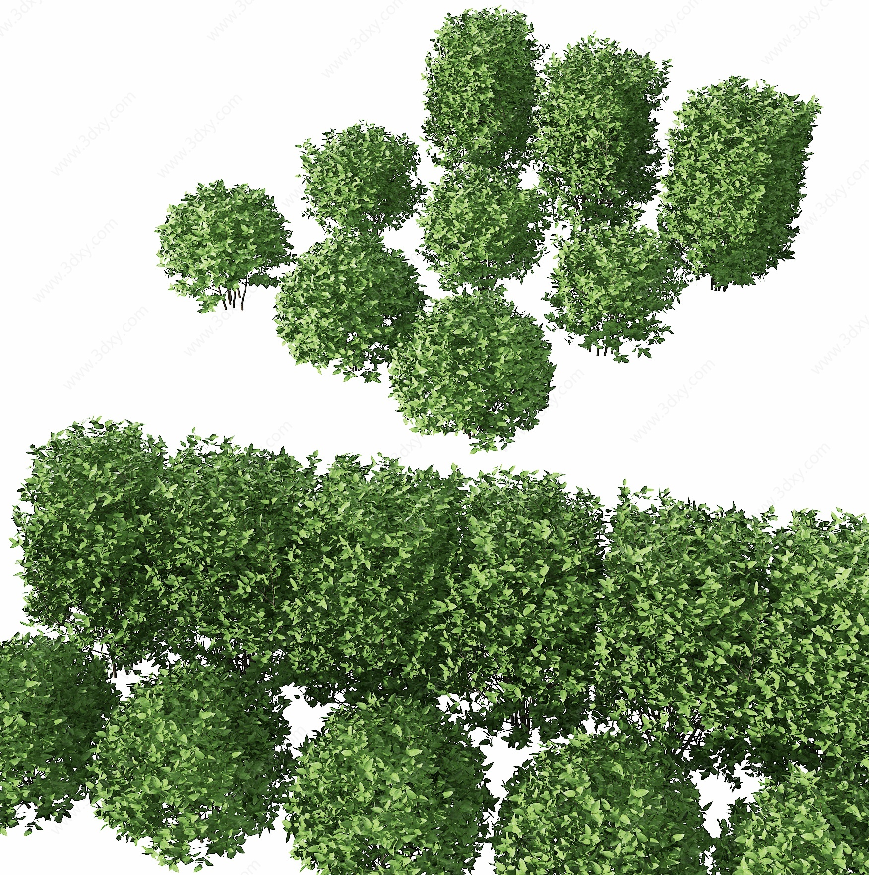 现代灌木绿篱3D模型