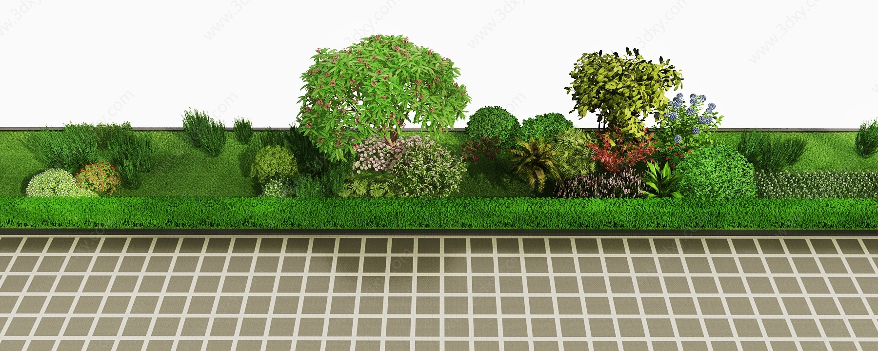 现代灌木花草植物3D模型
