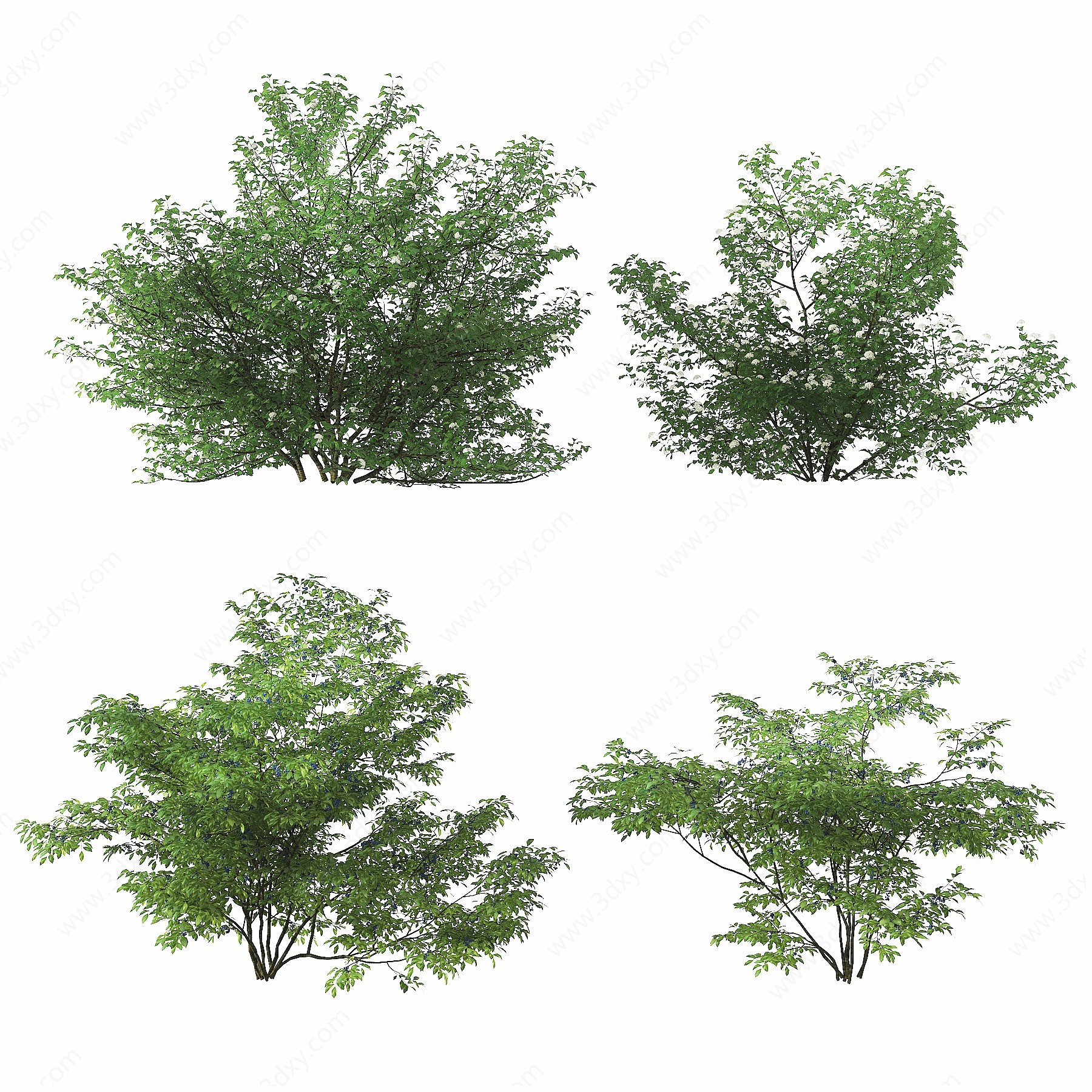 现代绿植灌木3D模型