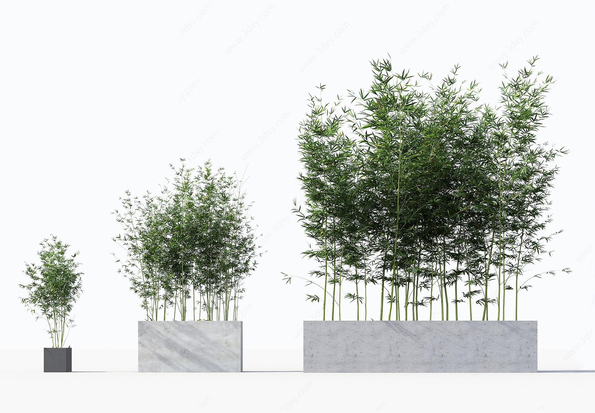 中式竹子绿植盆栽组合3D模型