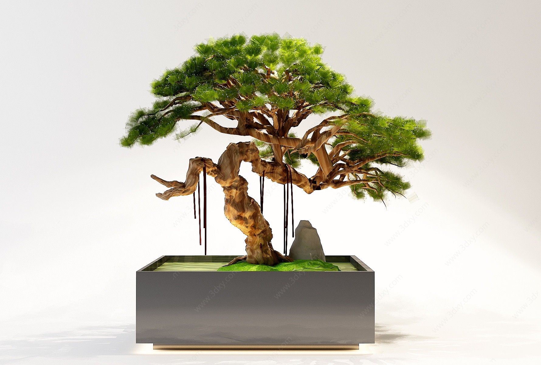 中式盆栽植物景观树3D模型