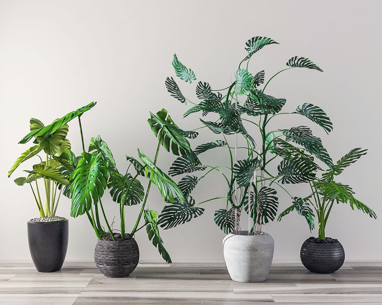现代植物盆栽3D模型