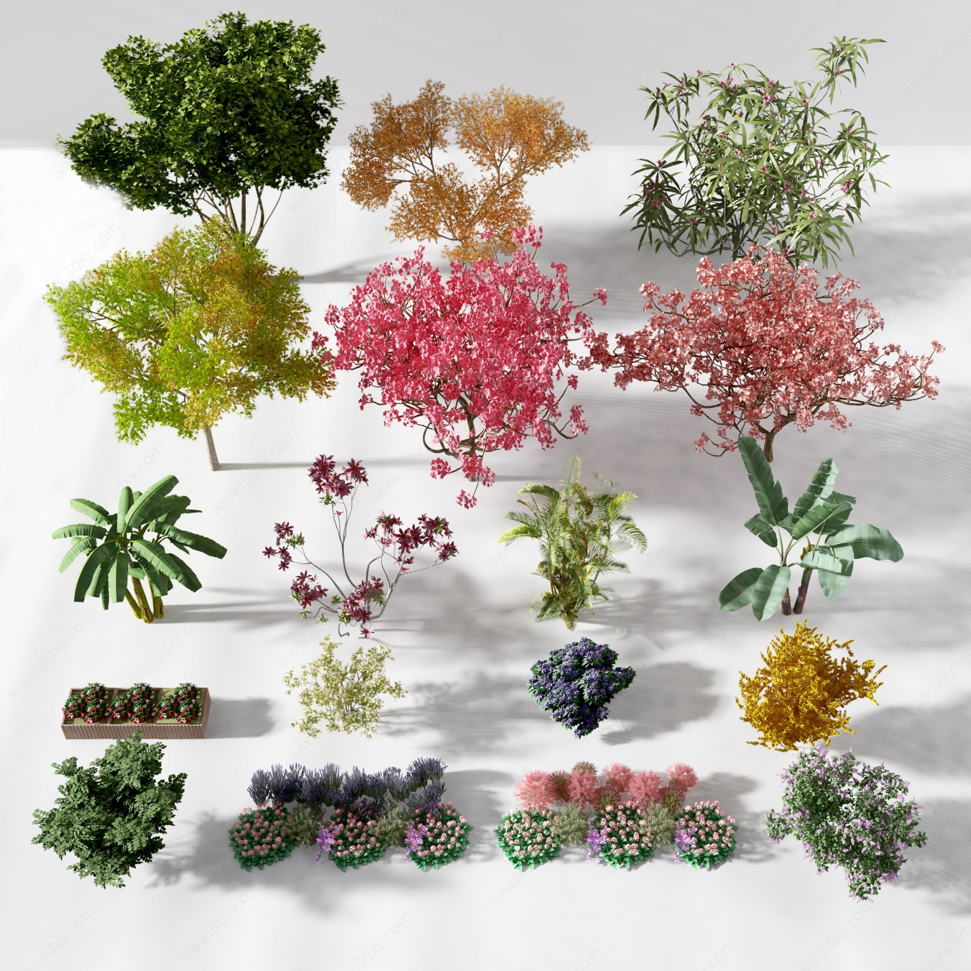 现代灌木圆形灌木植物树3D模型