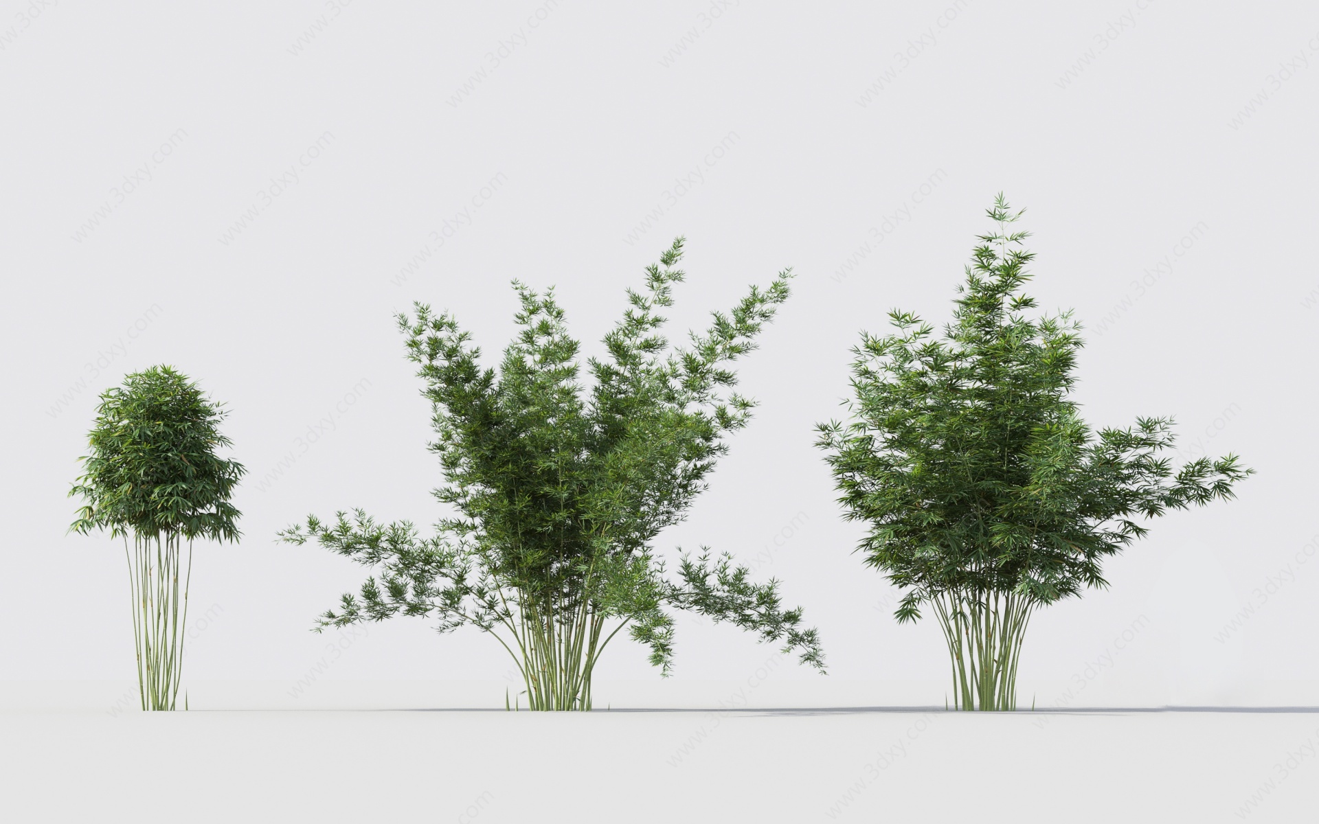 现代绿植竹子组合3D模型
