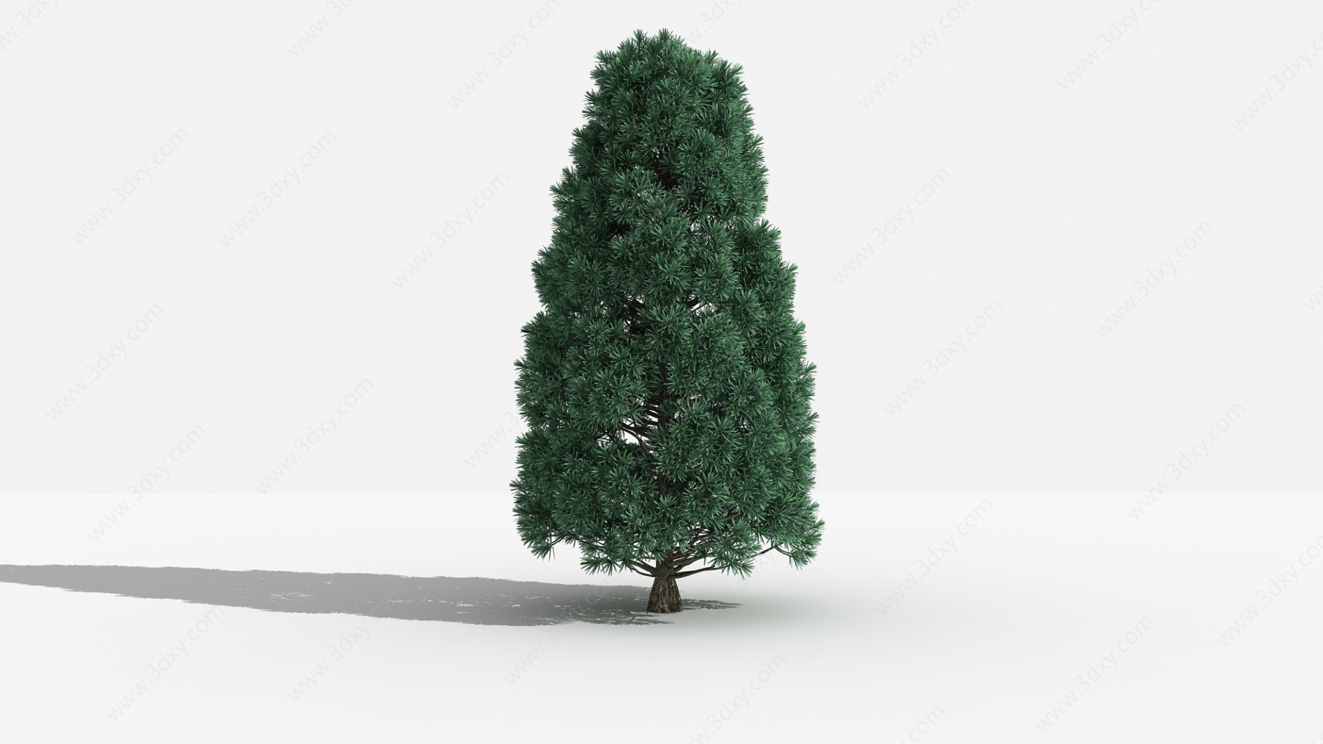中式罗汉松灌木树3D模型