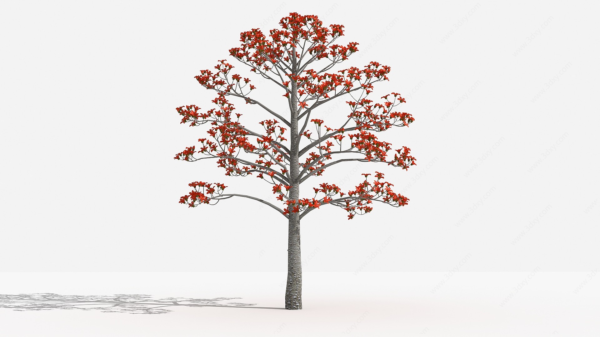 中式木棉灌木树植物3D模型