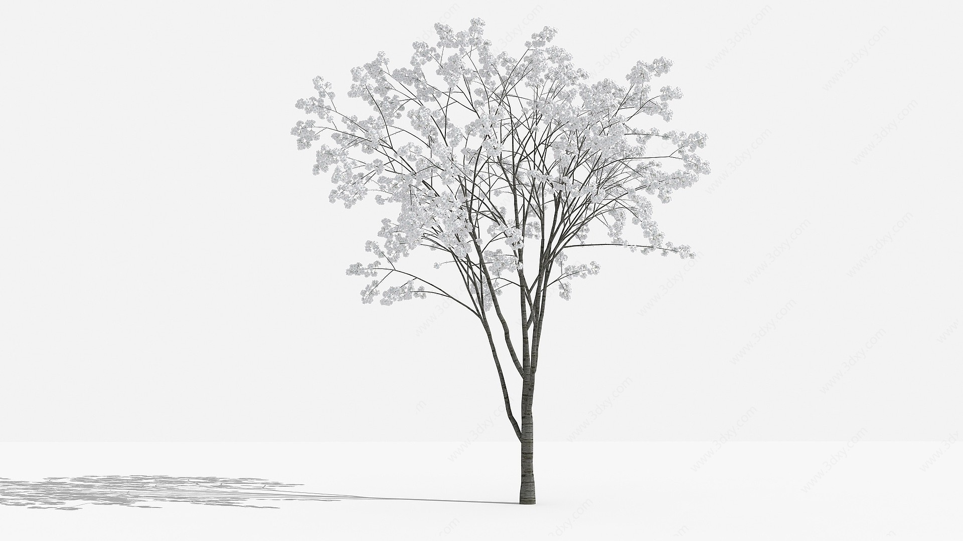 中式山樱花灌木树3D模型
