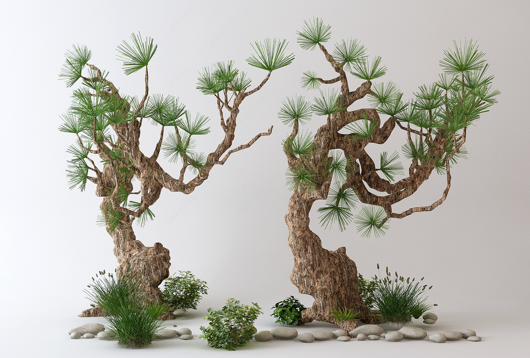 中式景观树盆栽树3D模型