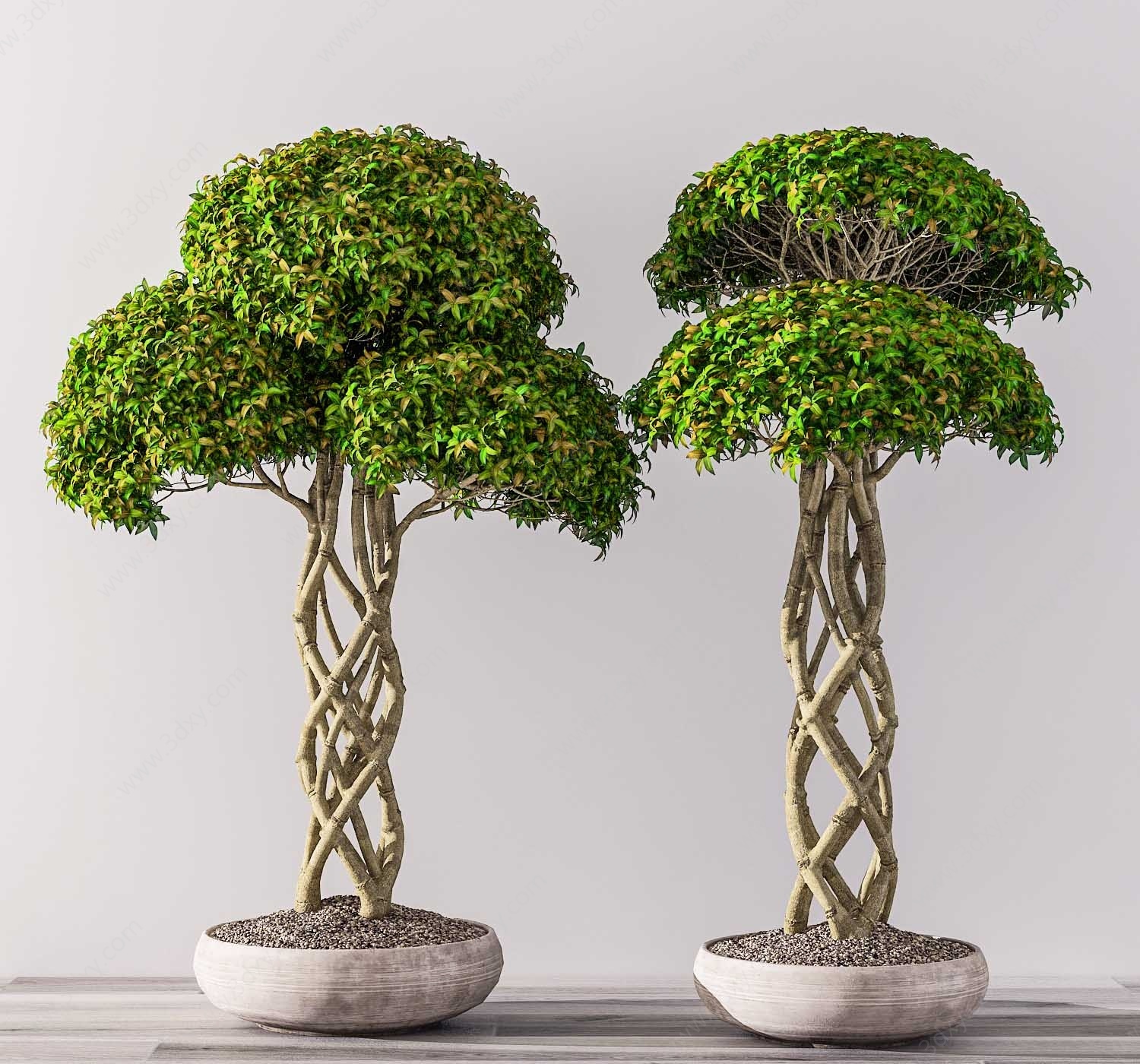 现代花草盆栽组合3D模型