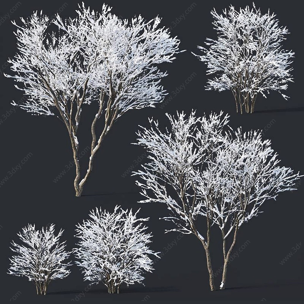 现代植物雪树灌木冬天树3D模型