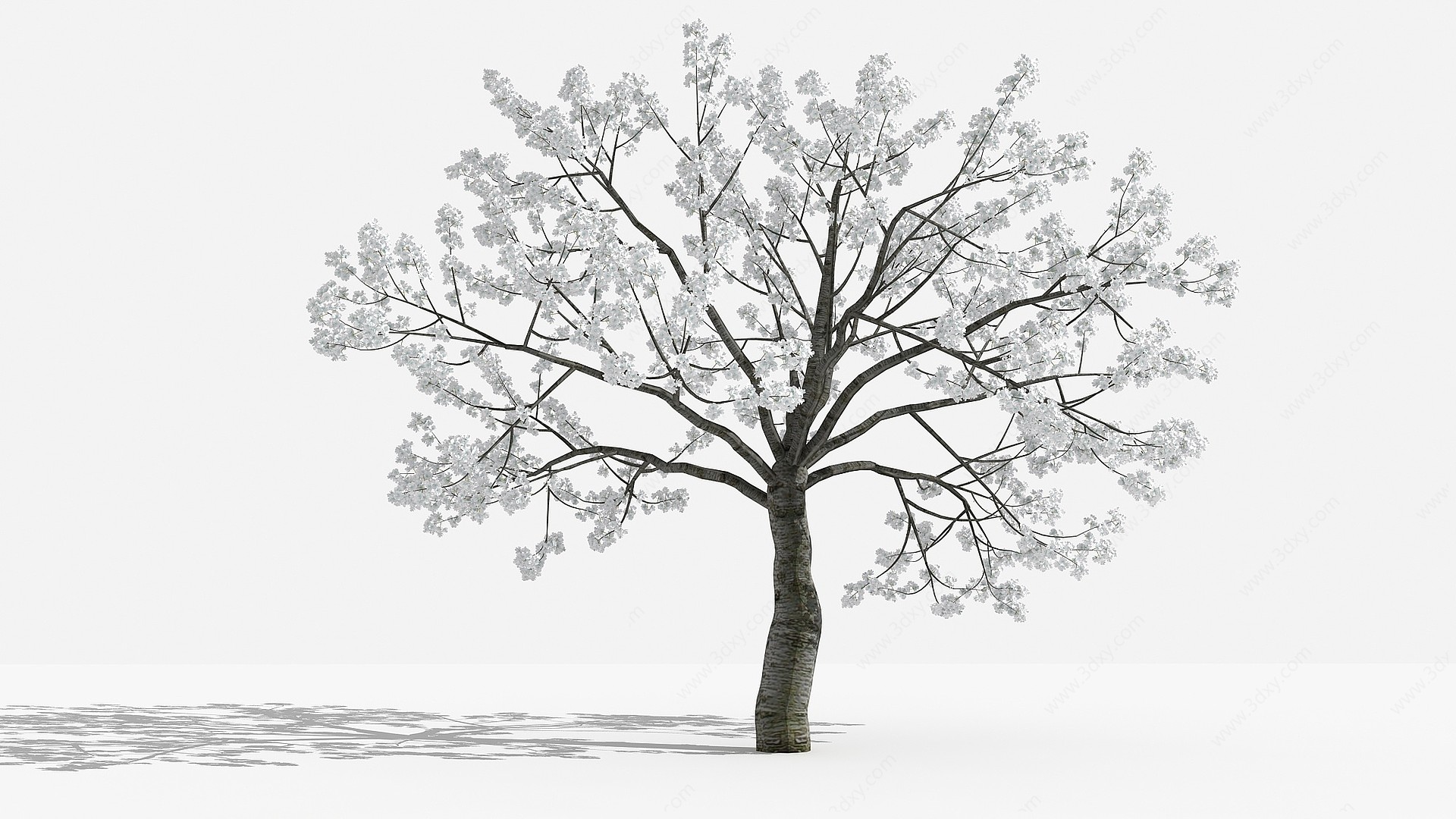 中式樱花白灌木树3D模型