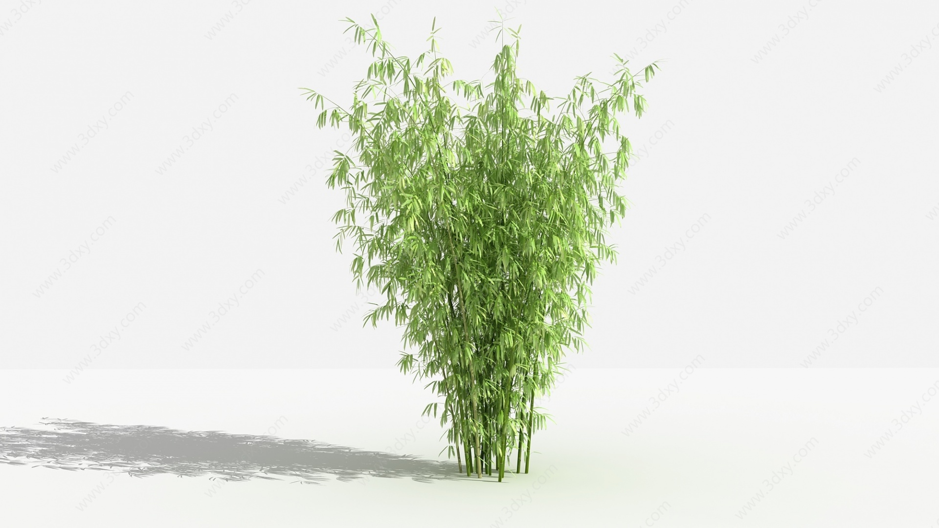 中式竹子灌木树植物3D模型