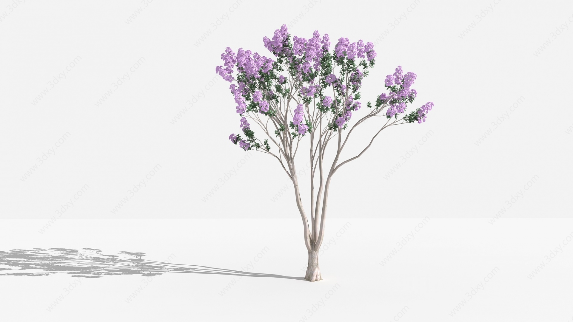 中式紫薇紫灌木树植物3D模型