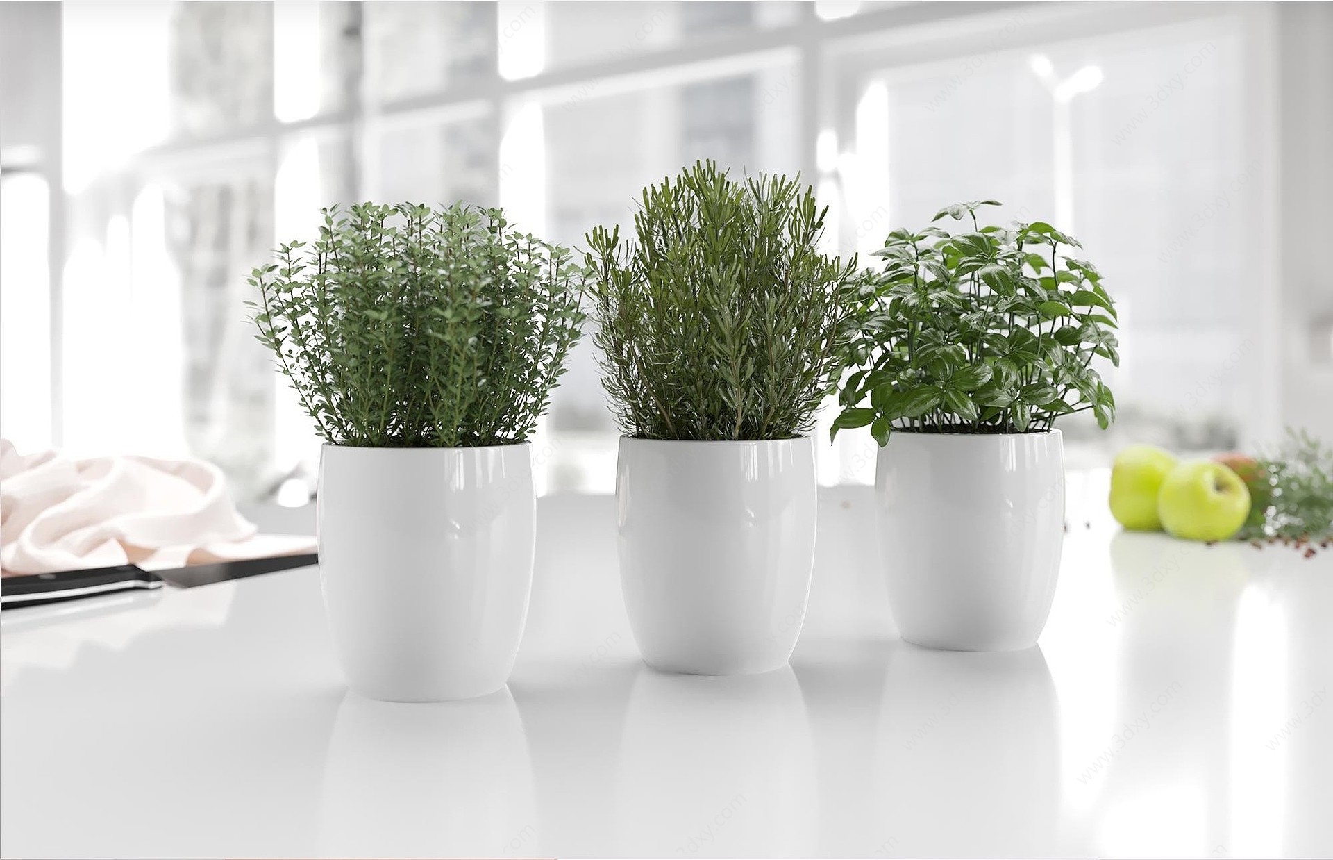 现代盆栽植物绿植3D模型