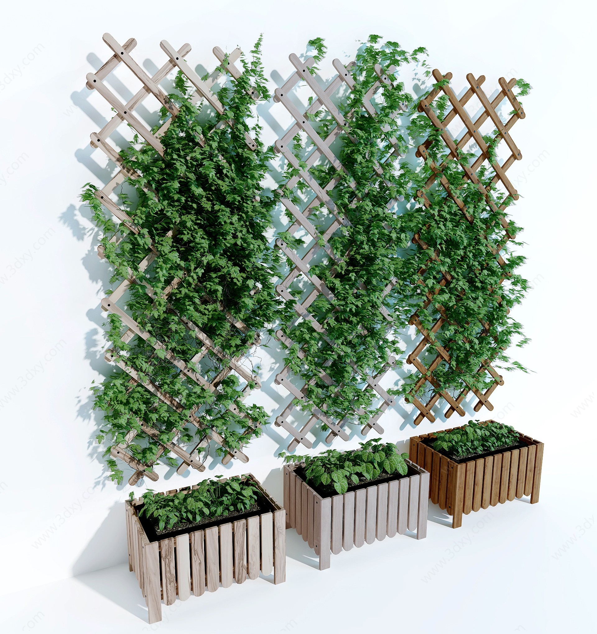 现代藤蔓绿植3D模型