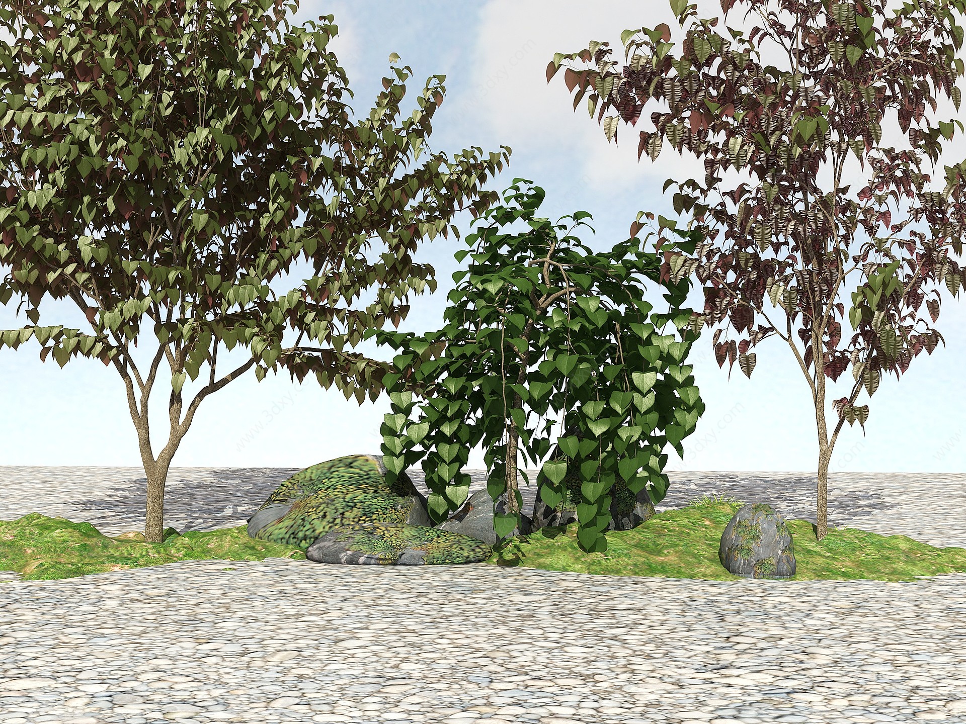 精品景观植物3D模型