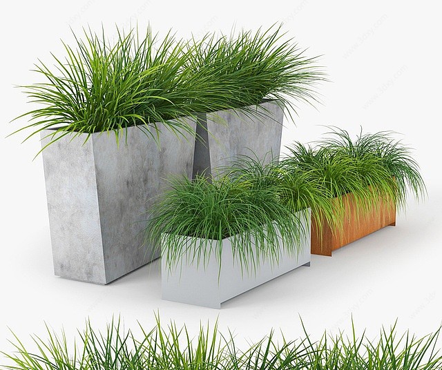 现代绿植盆栽3D模型