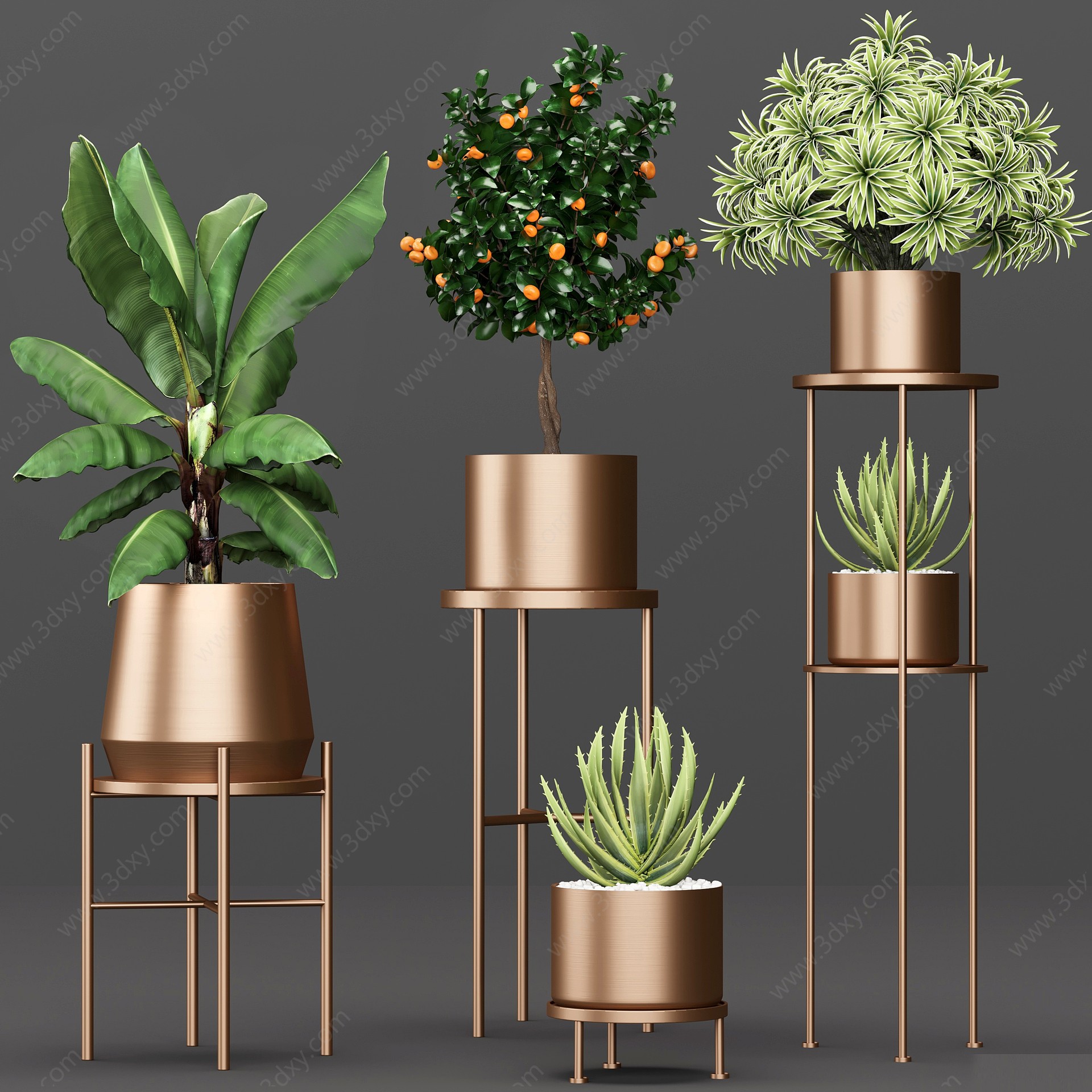现代植物架绿植盆栽3D模型