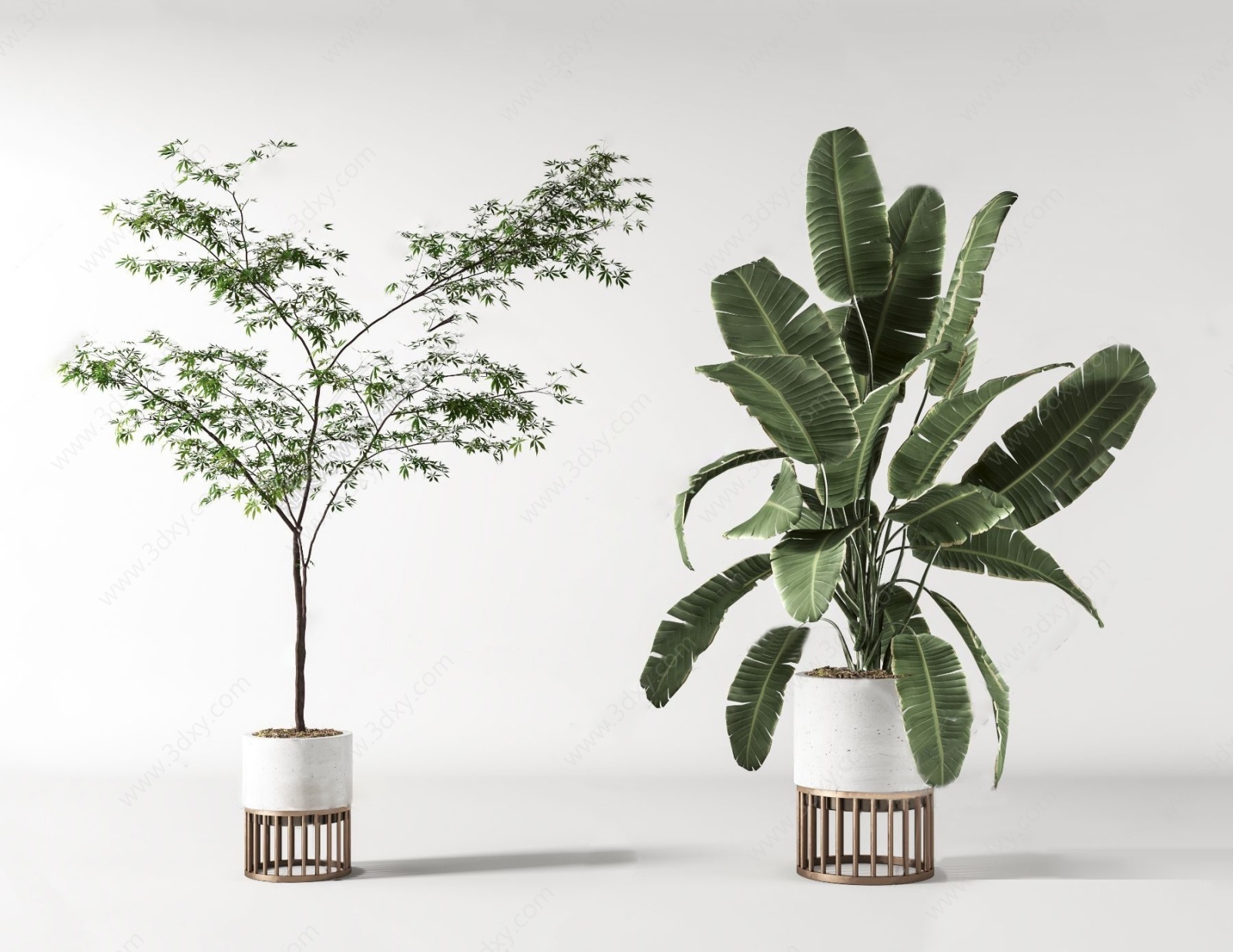 现代绿植盆栽3D模型