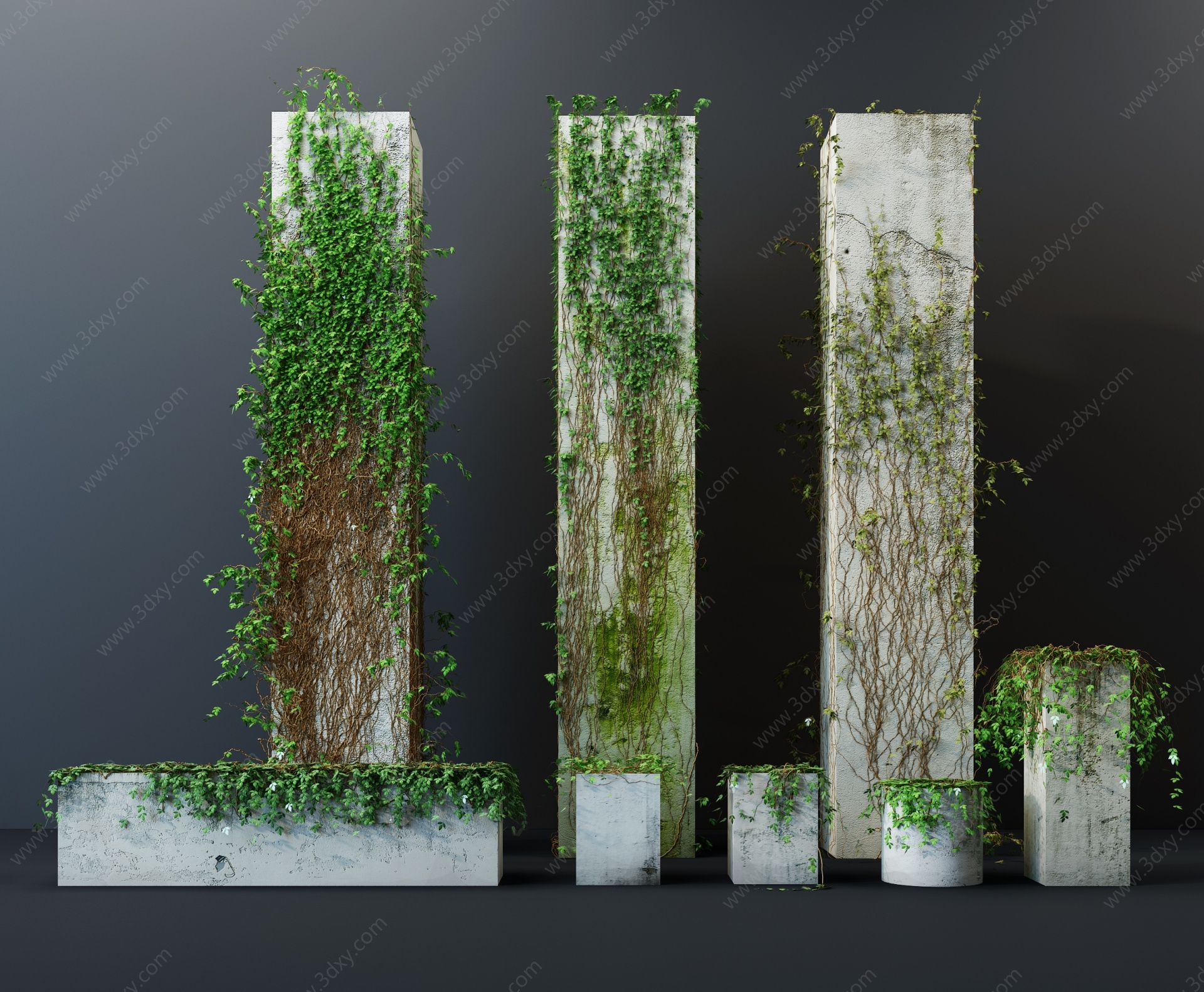 现代绿植藤蔓爬山虎3D模型