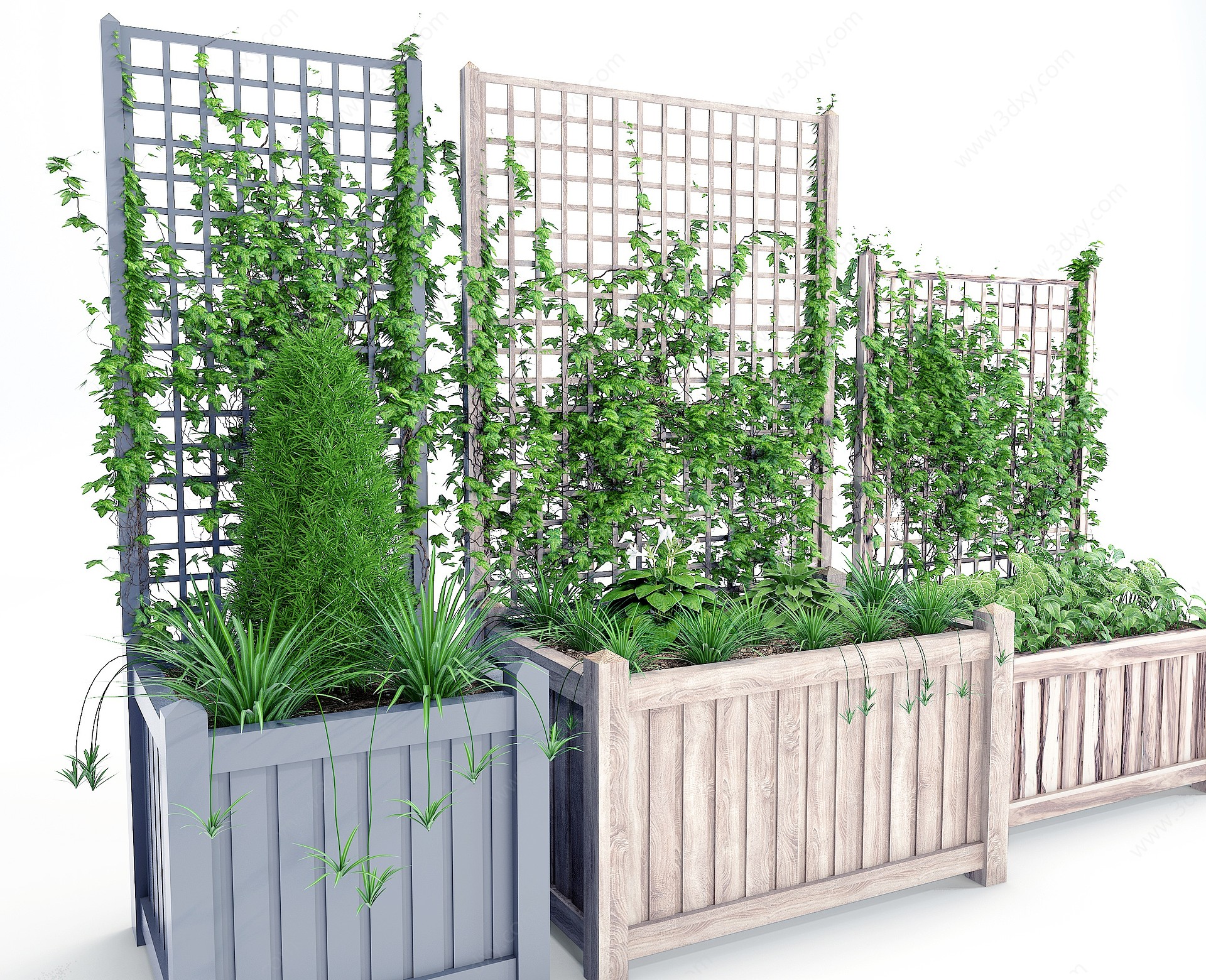 现代绿植藤蔓3D模型
