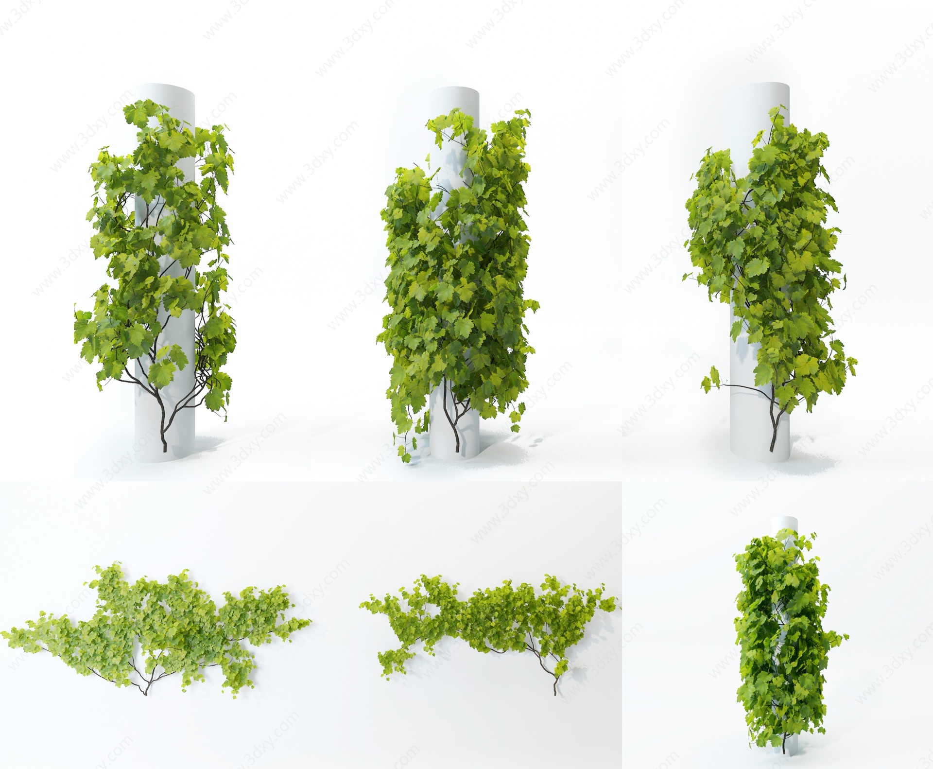 现代爬墙虎植物藤蔓3D模型
