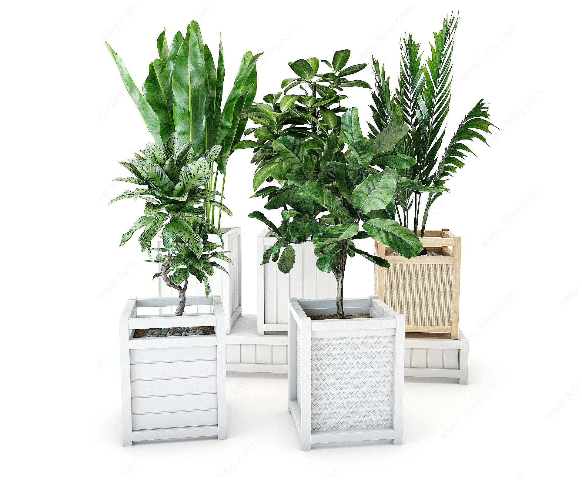 现代户外绿植盆栽3D模型
