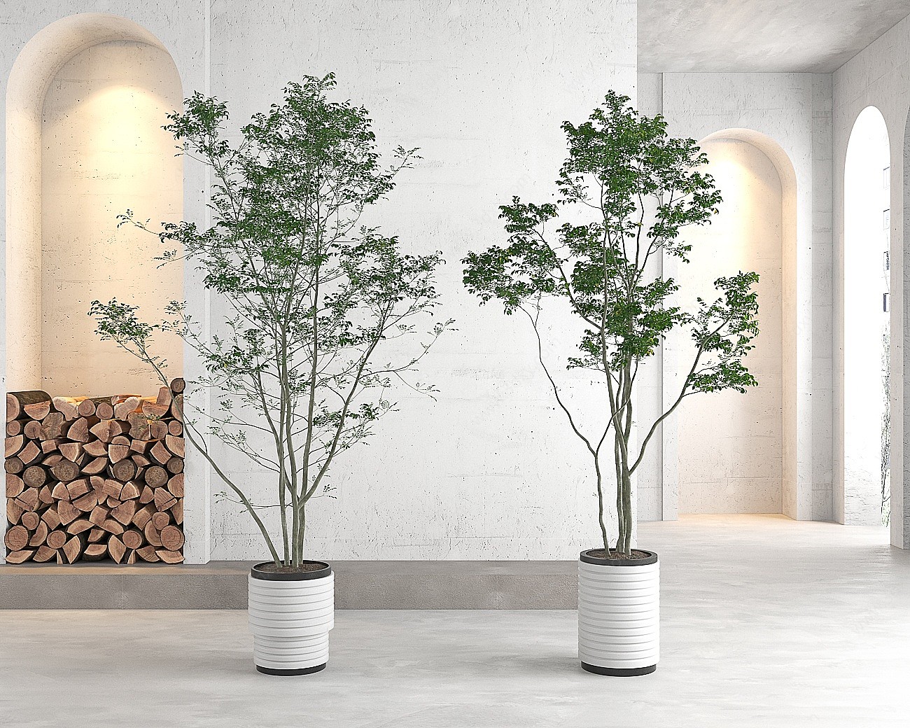 盆栽盆景植物3D模型