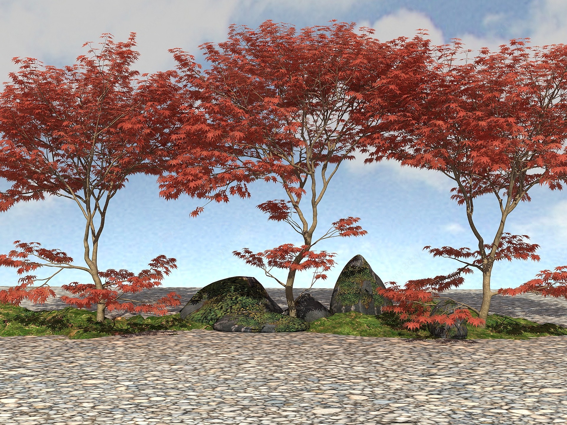 精品景观植物3D模型