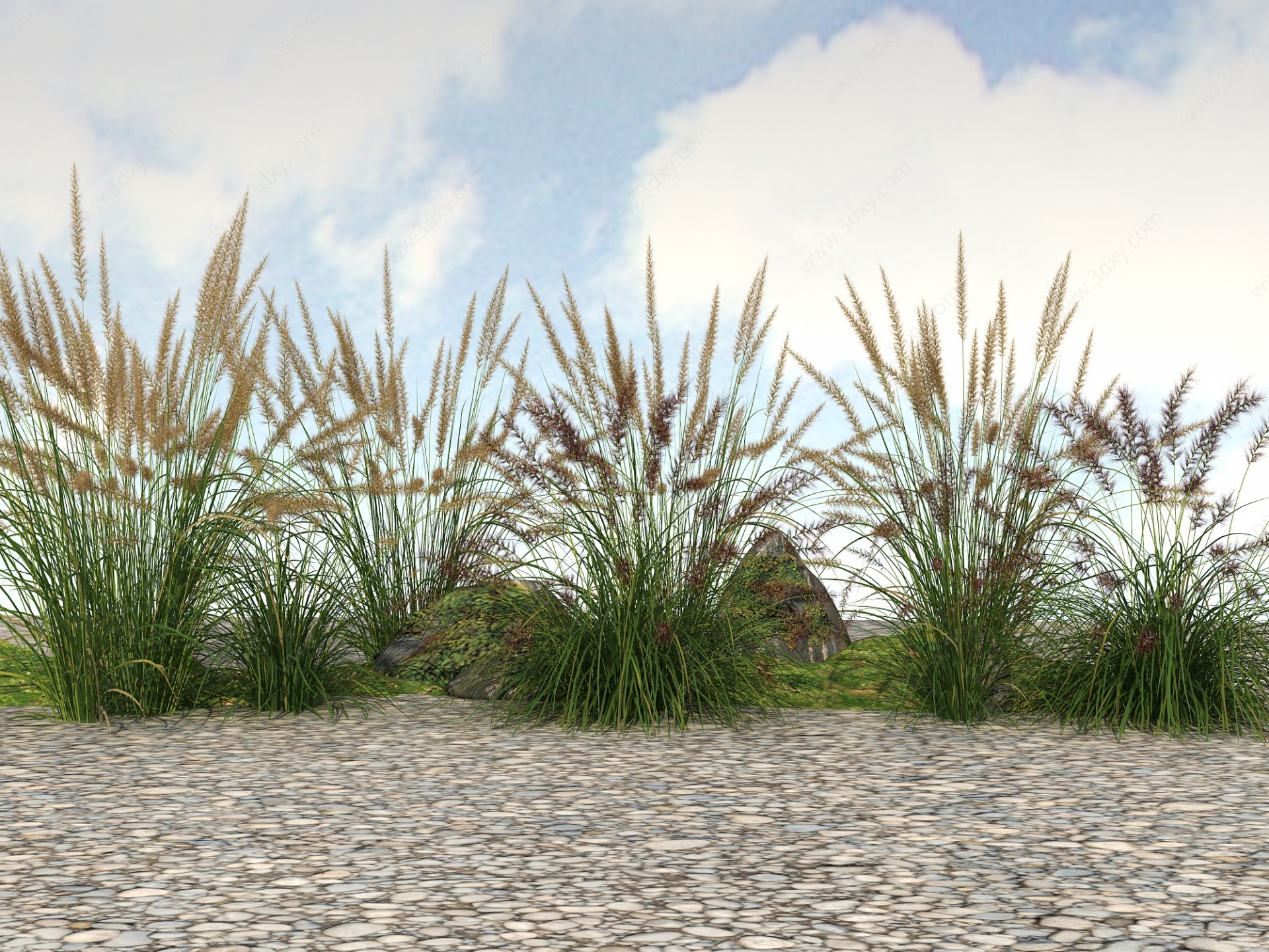 精品景观开花植物3D模型