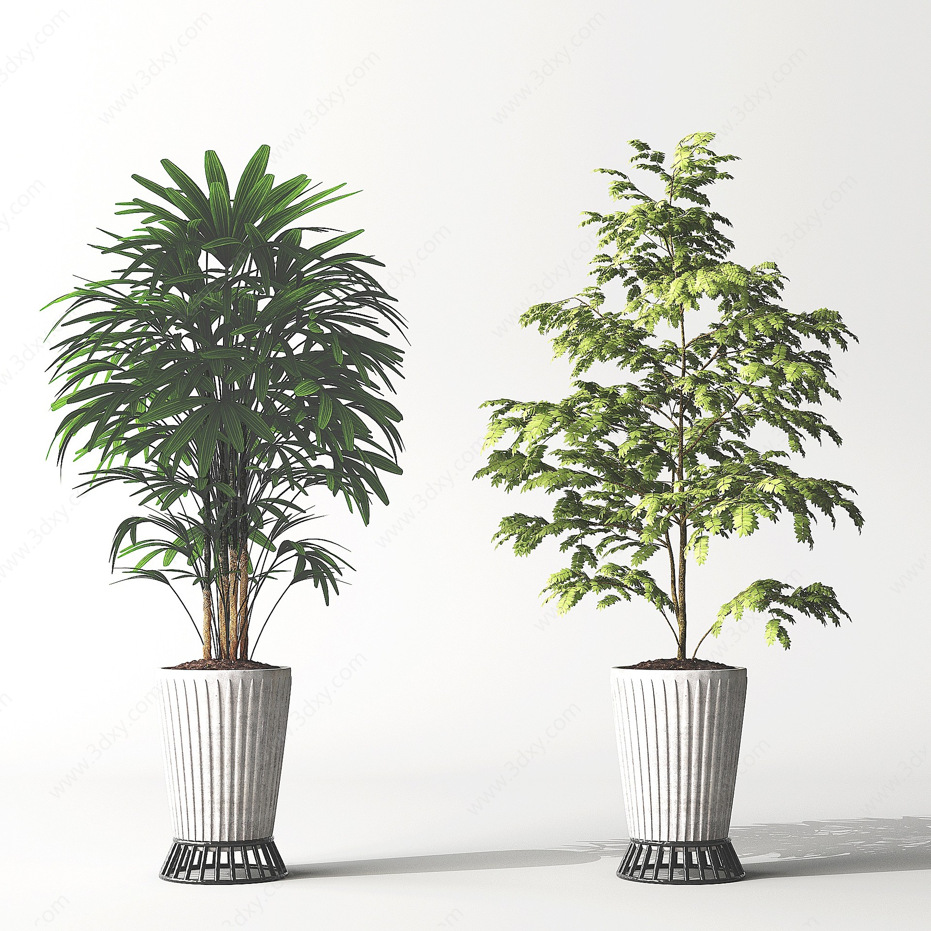 植物盆栽盆景3D模型