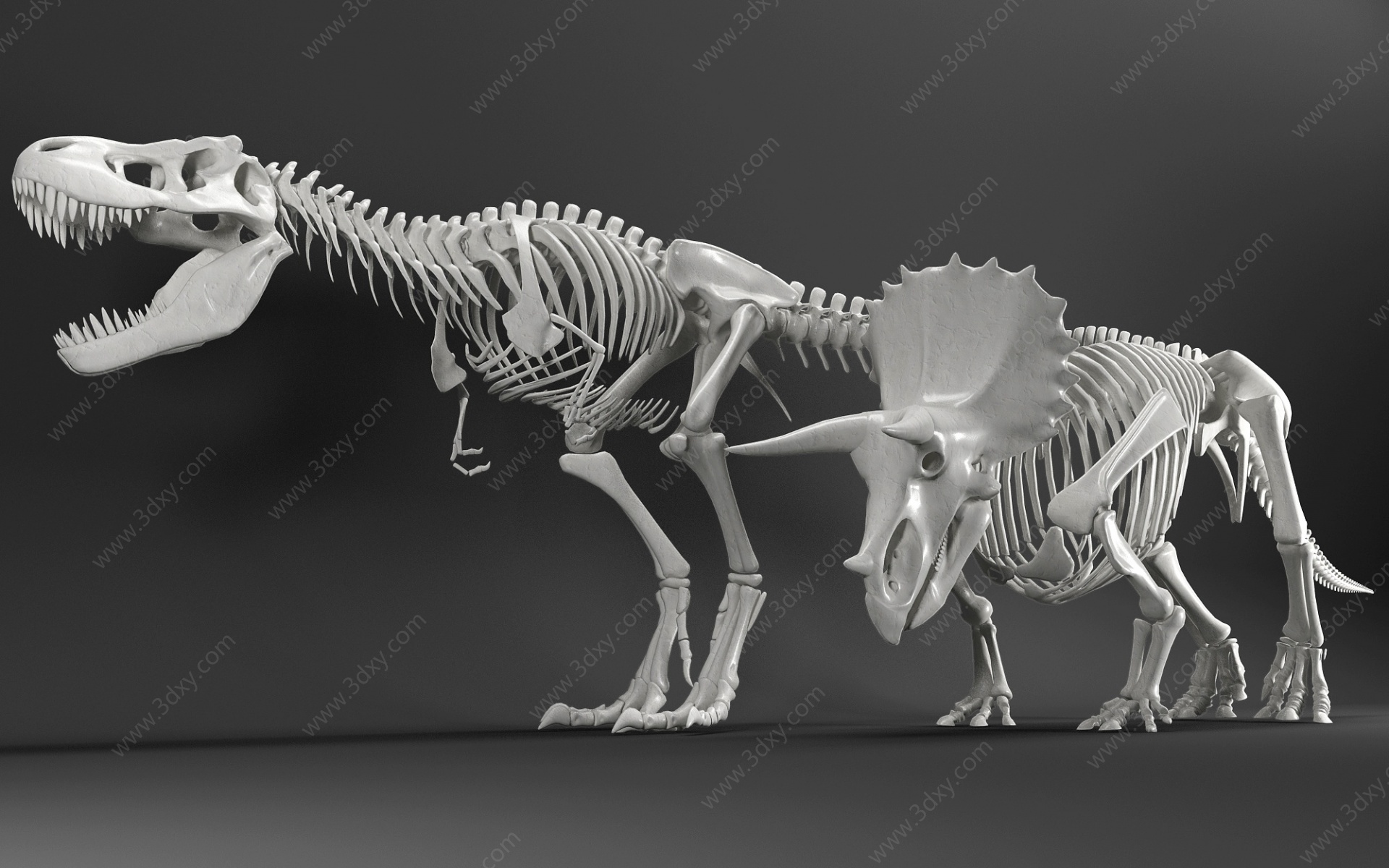 现代恐龙骨架组合3D模型