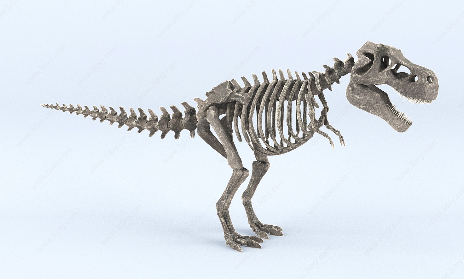 现代恐龙骨架3D模型