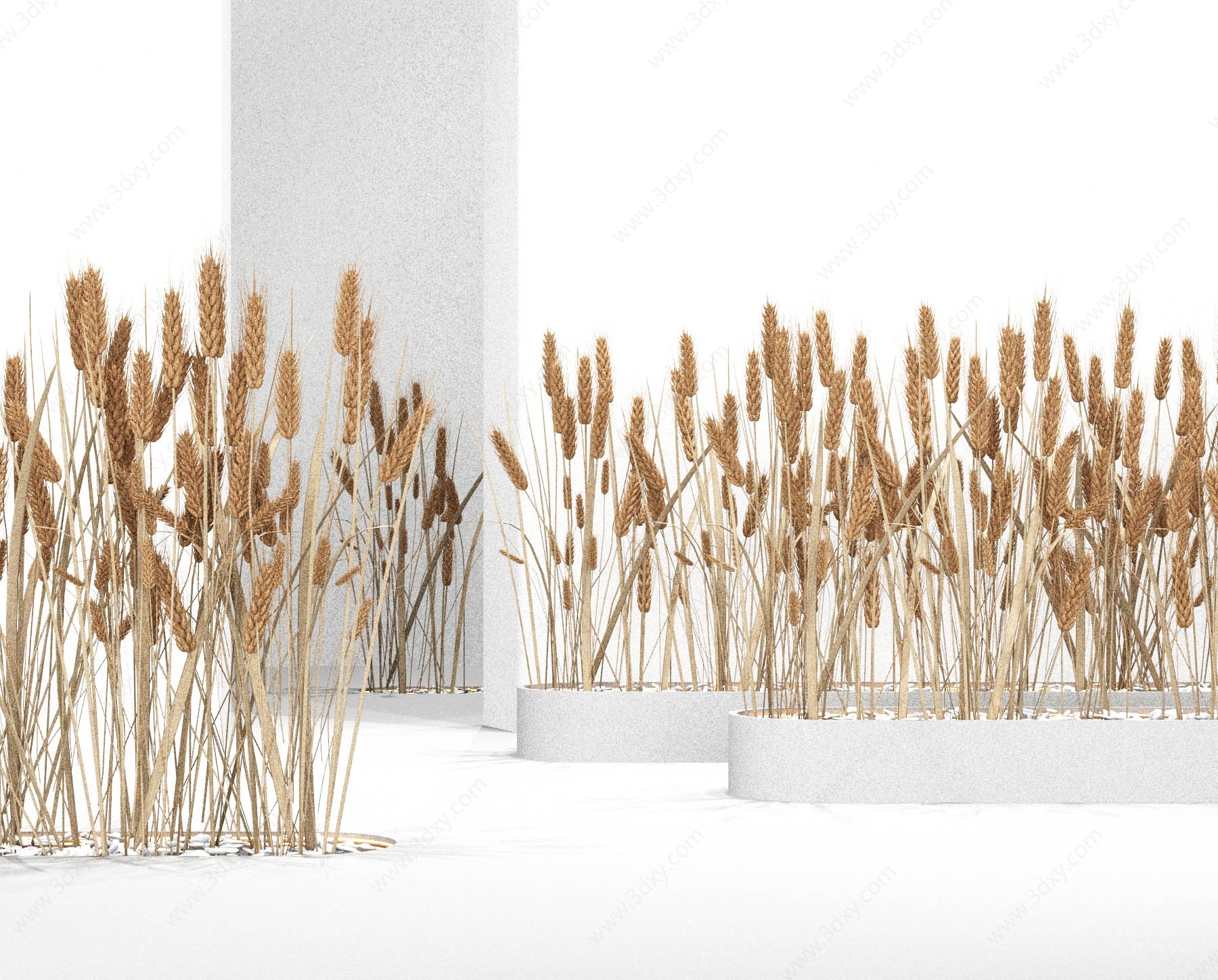 现代仿真麦穗3D模型