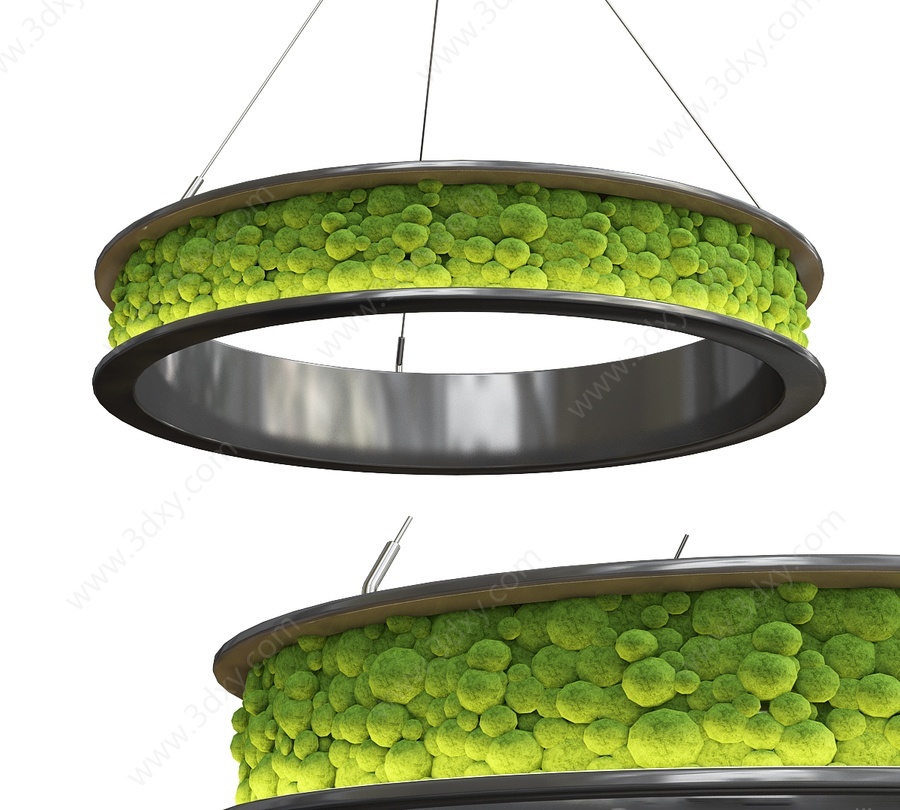 环形苔藓吊灯3D模型