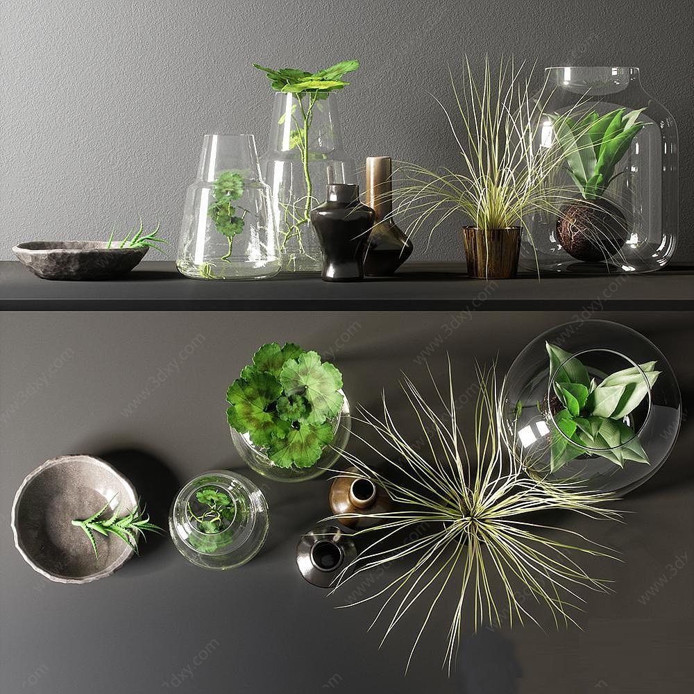 玻璃瓶植物绿植摆件3D模型