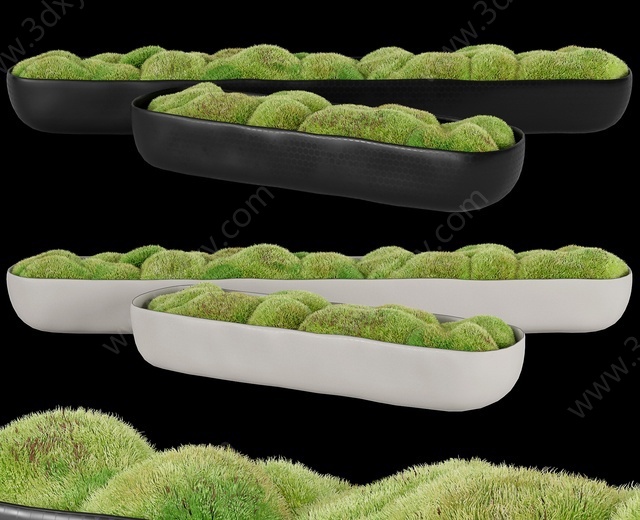 苔藓盆栽3D模型