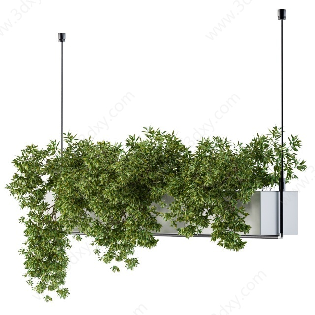 绿植吊篮植物花槽3D模型