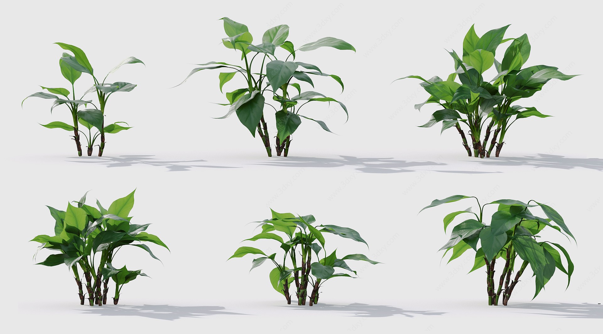 现代花草植物草丛花坛绿植3D模型