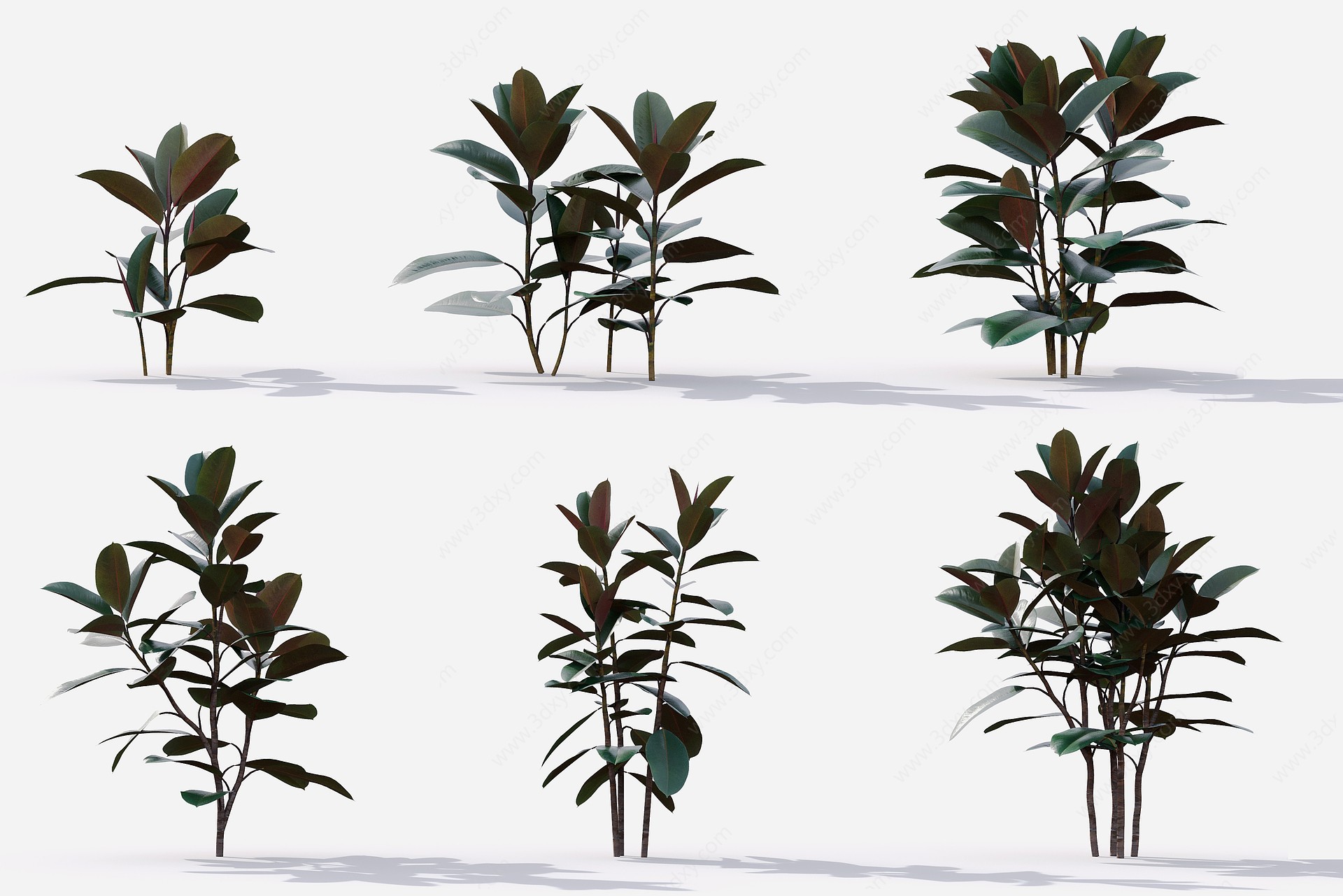 现代花草植物草丛花坛绿植3D模型