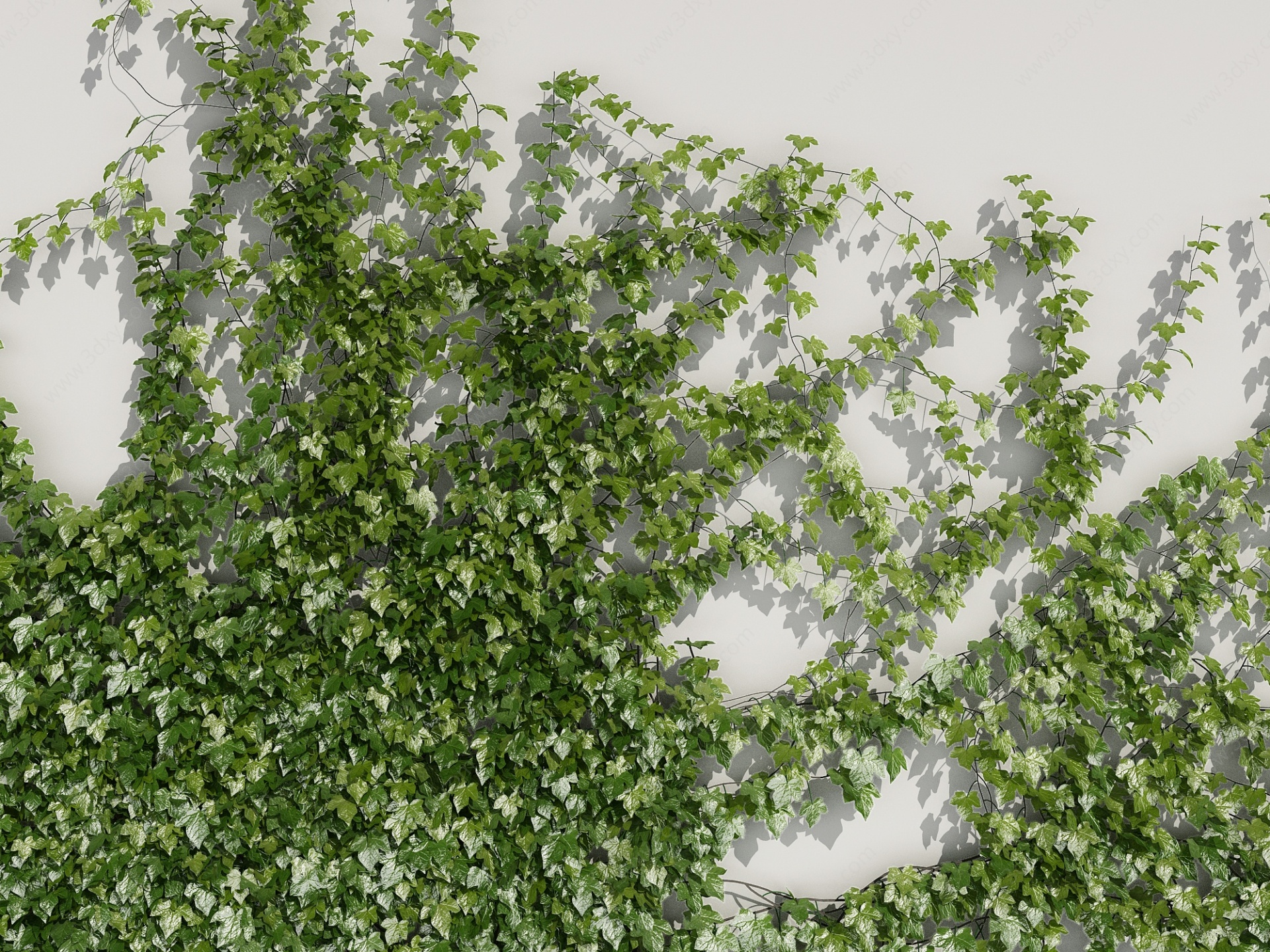 爬山虎藤蔓植物绿植墙3D模型