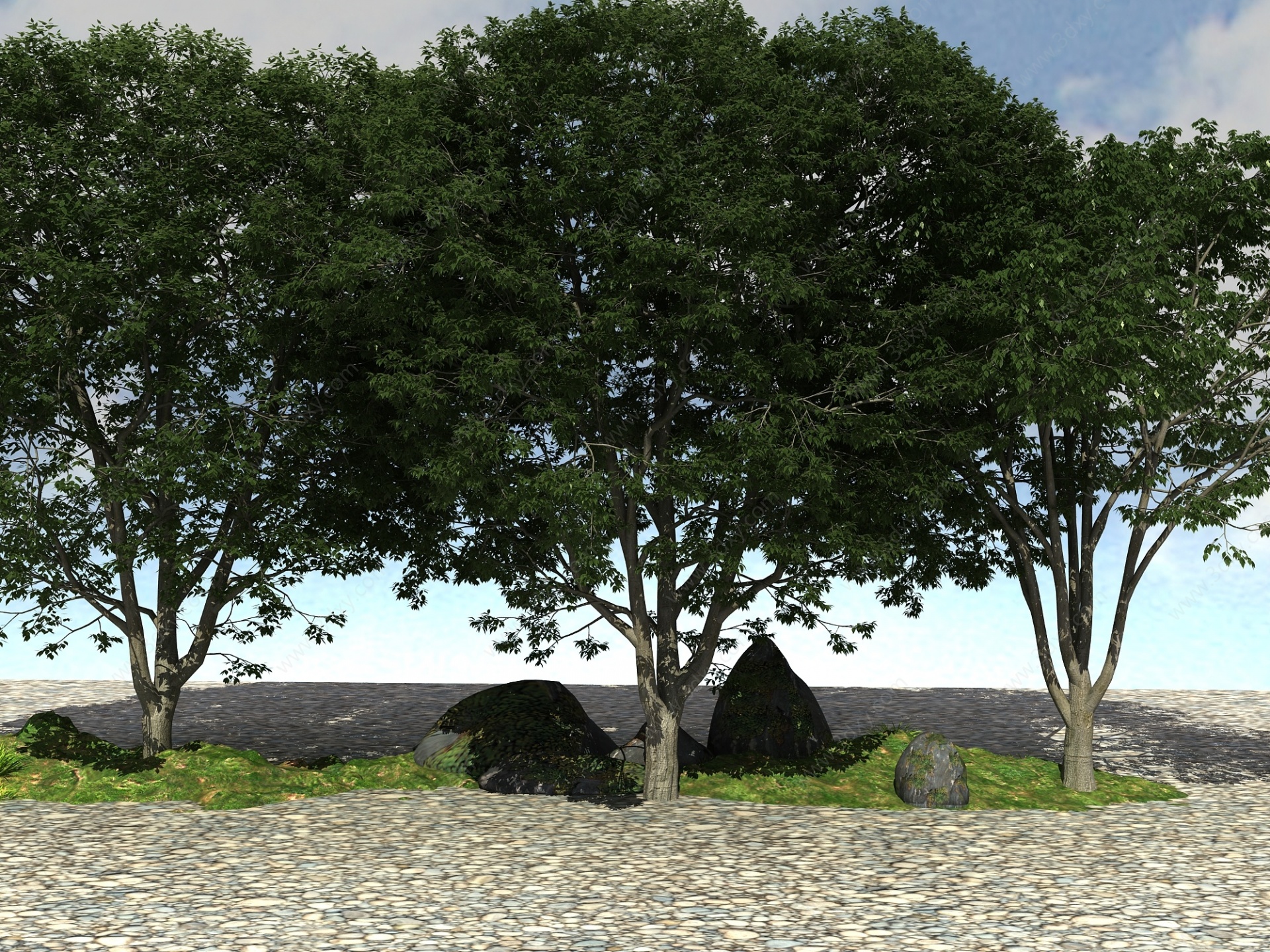 景观大树植物3D模型