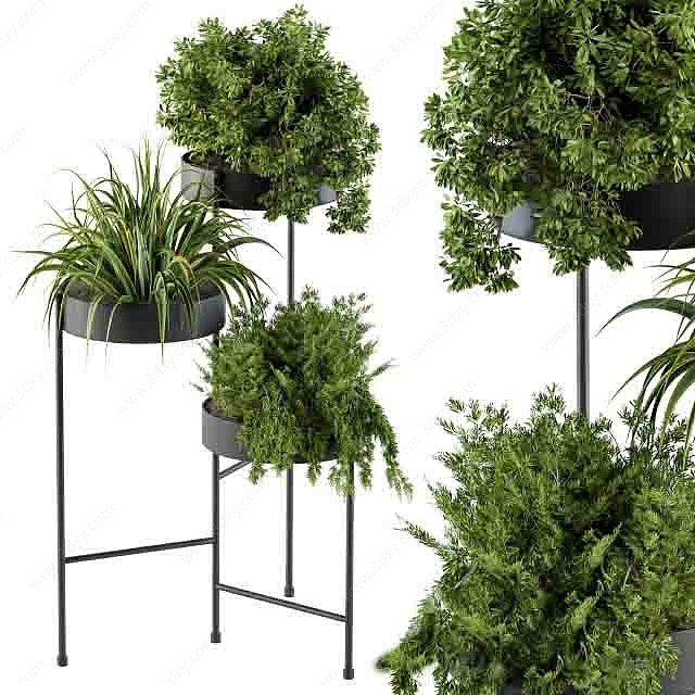 绿植盆栽置物架3D模型