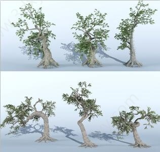 现代古树大树3D模型
