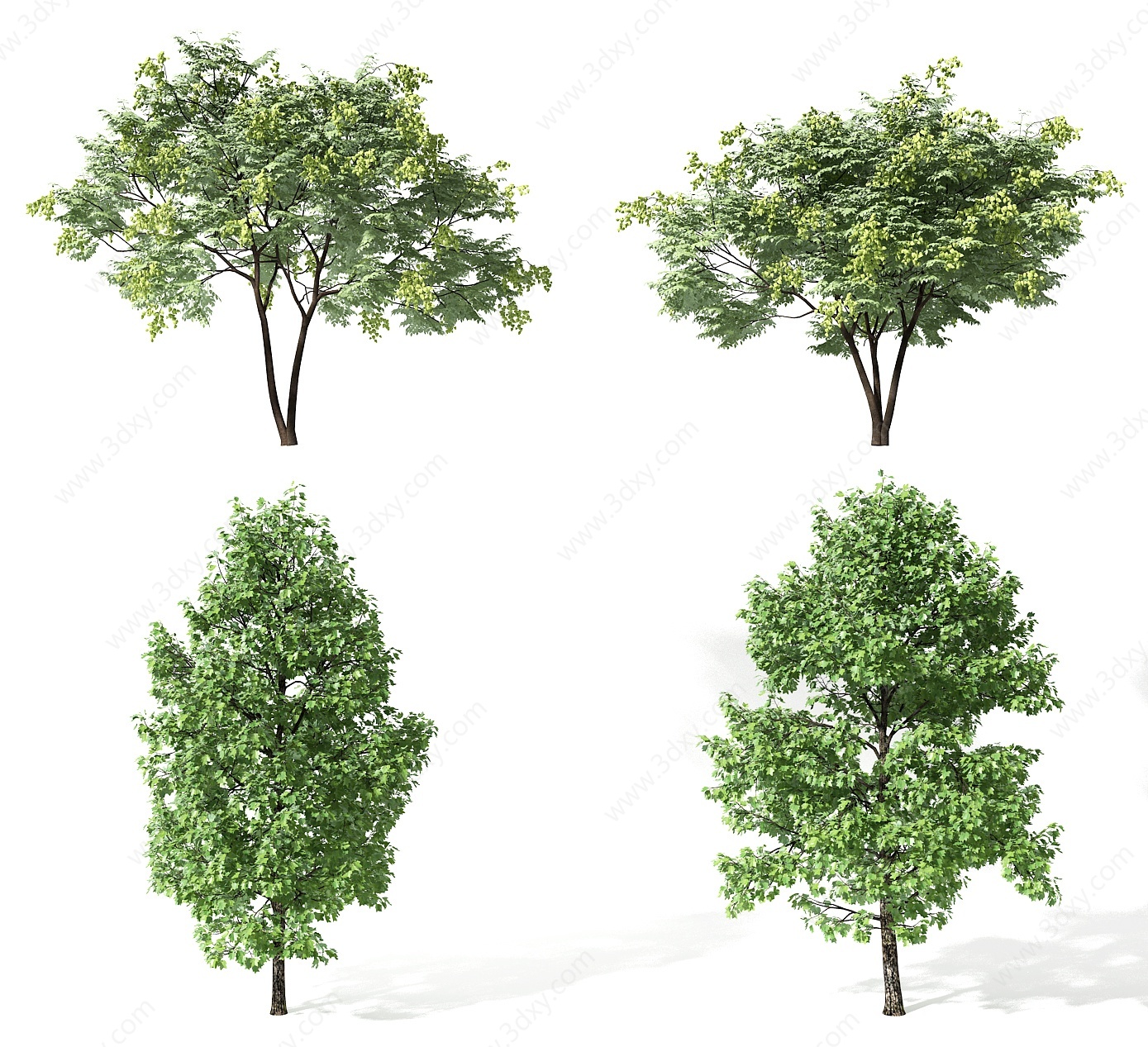 现代树3D模型