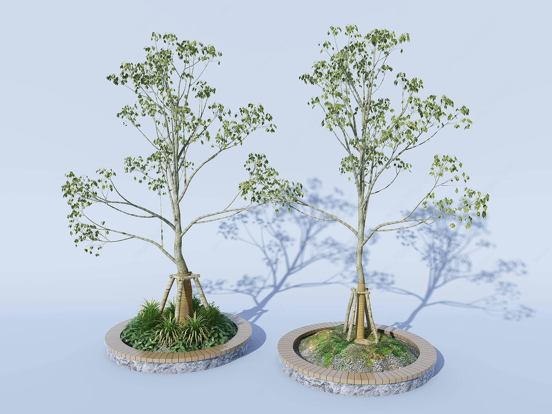 现代树3D模型