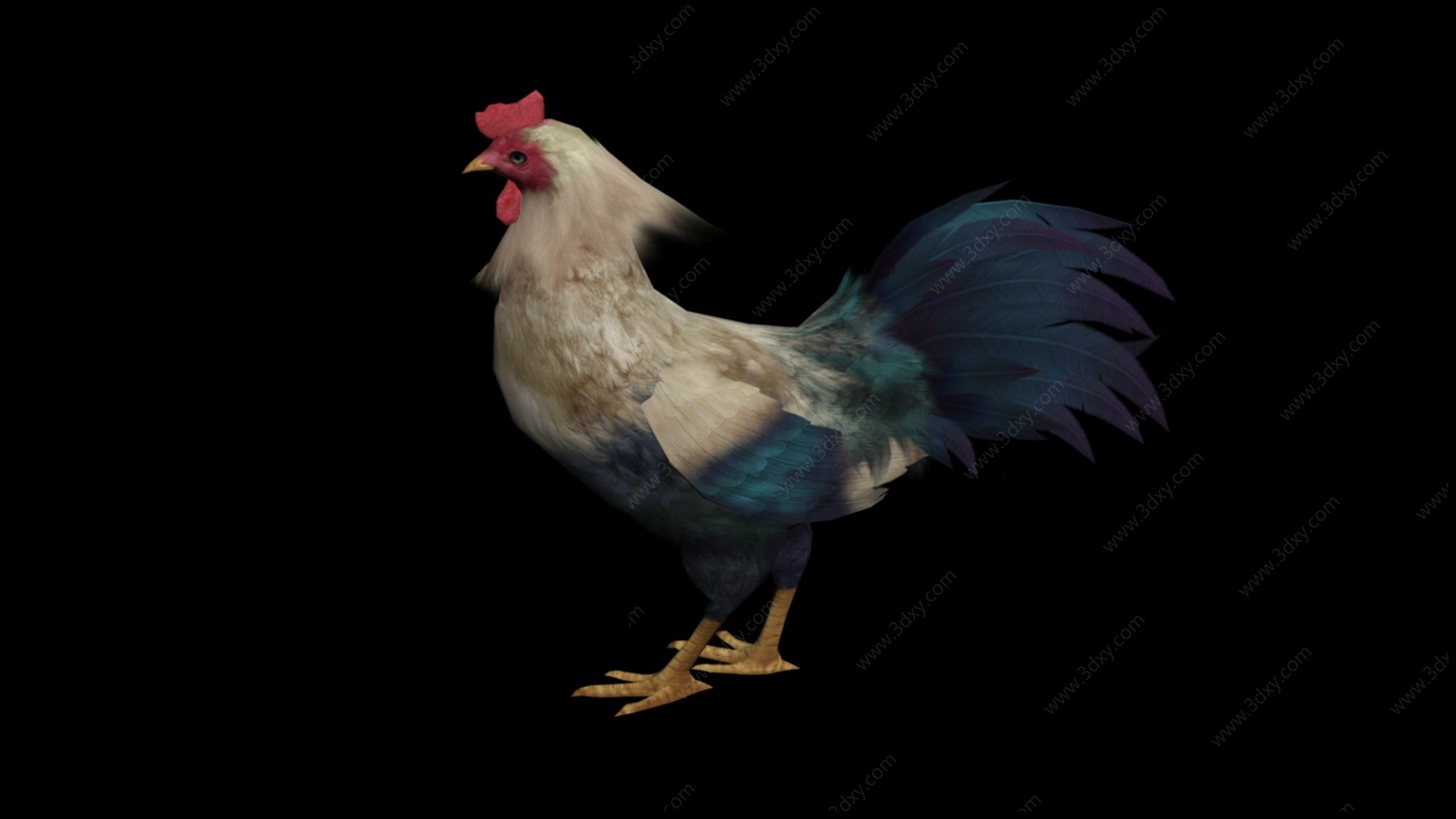 现代家禽公鸡3D模型