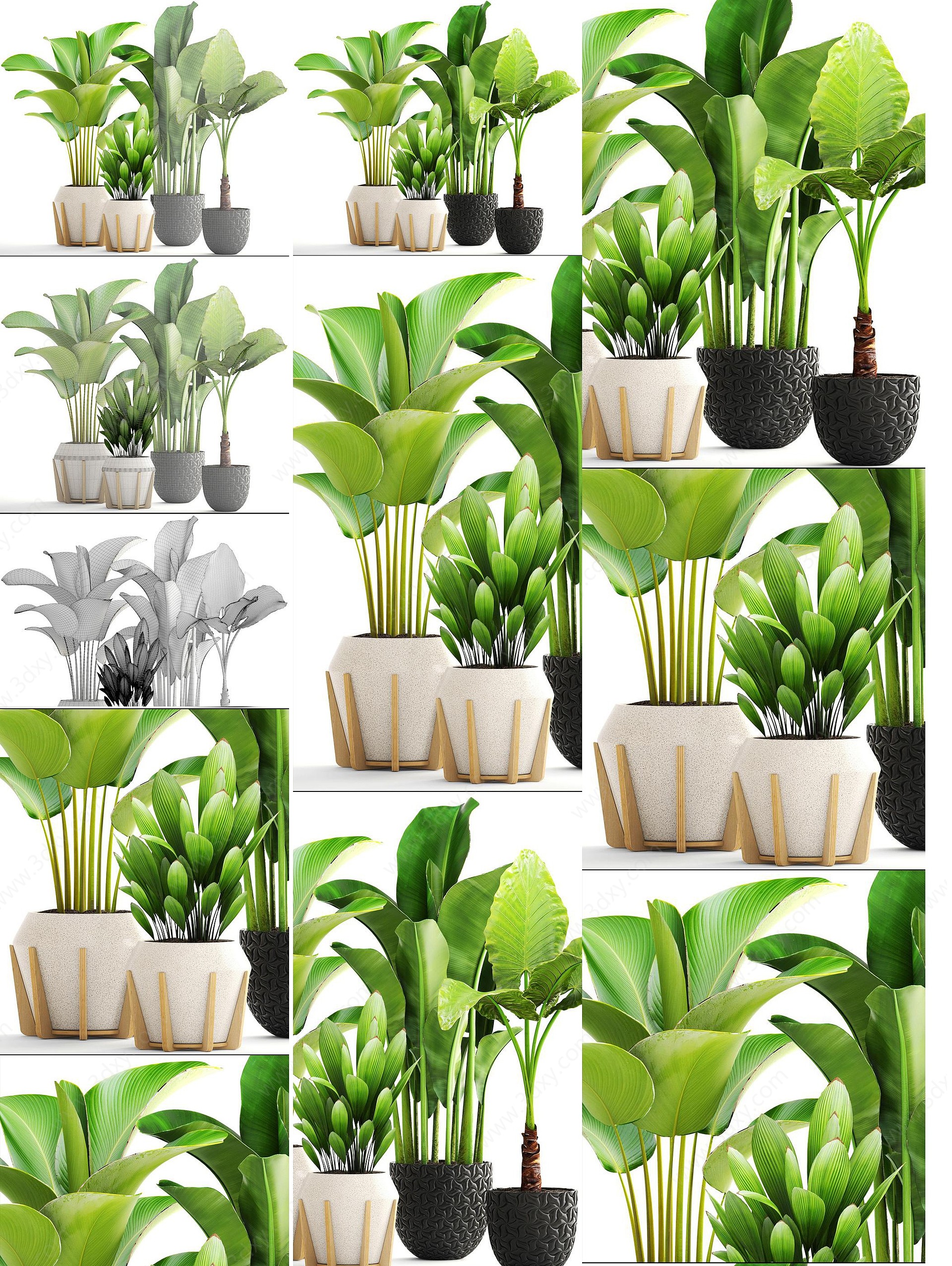 北欧装饰绿植植物3D模型